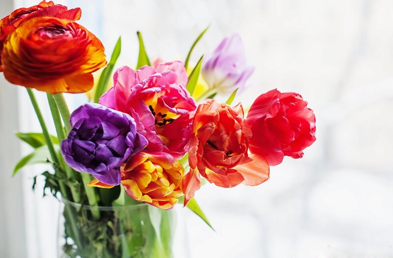 Colorful Tulips in Vase — Purple, Bright
