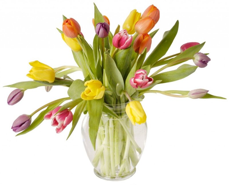 Colorful Tulips in Vase — Yellow, Calm, Spring
