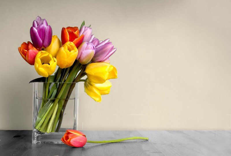 Colorful Tulips in Vase — Yellow, Calm