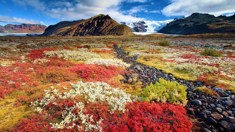 Colorful Tundra Landscape — Red