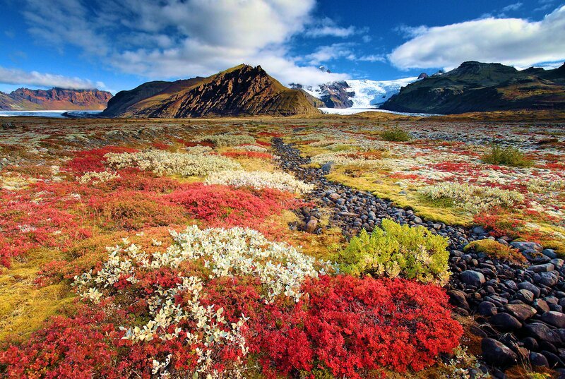 Colorful Tundra Landscape