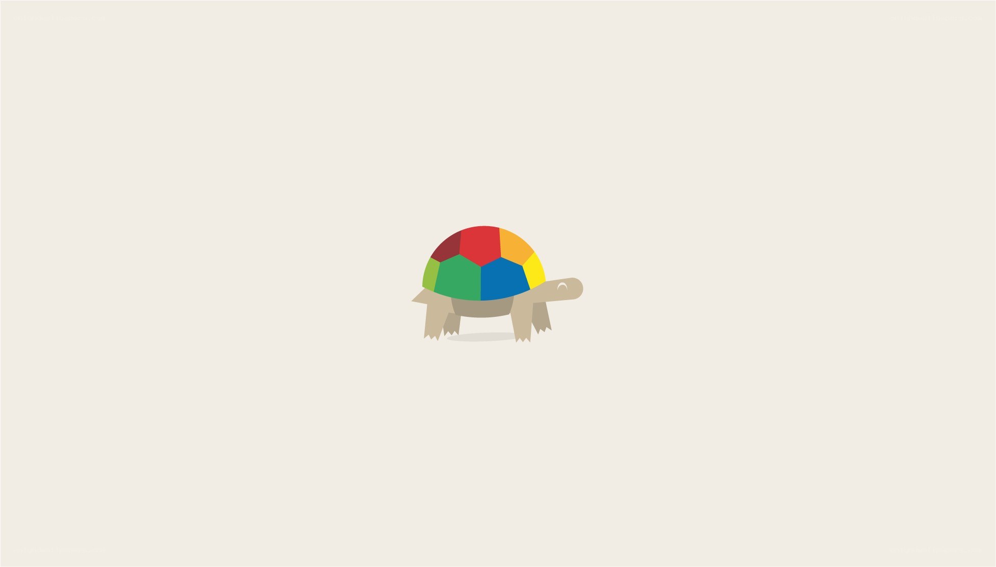 colorful turtle logo