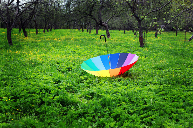 Colorful Umbrella in Field