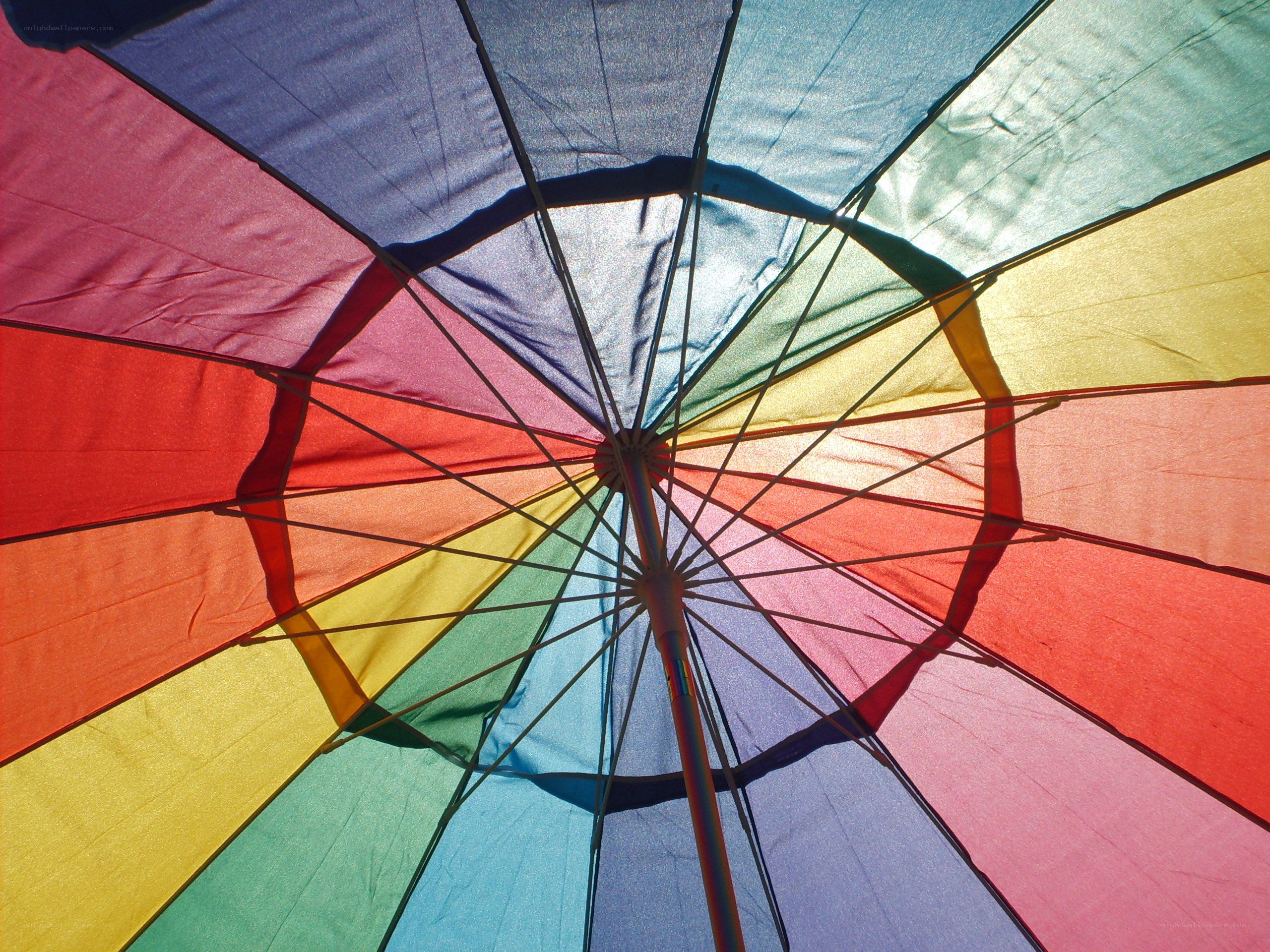 colorful umbrella interior