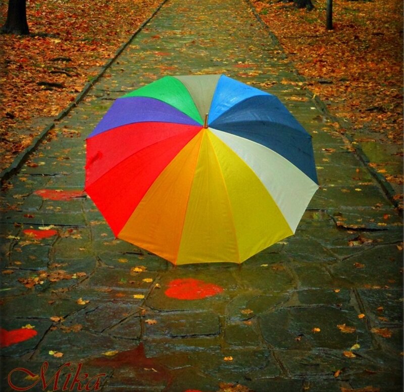 Colorful Umbrella on Path — Red