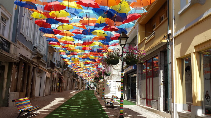 Colorful Umbrellas in Street