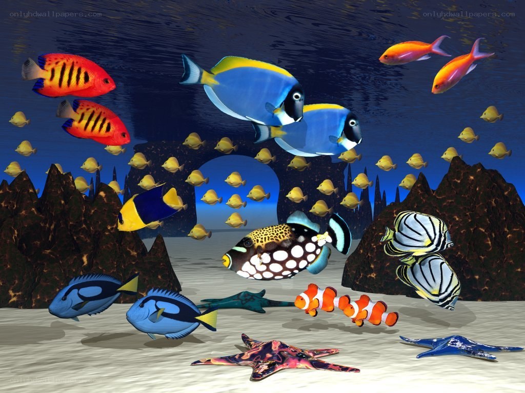 Colorful underwater fish scene