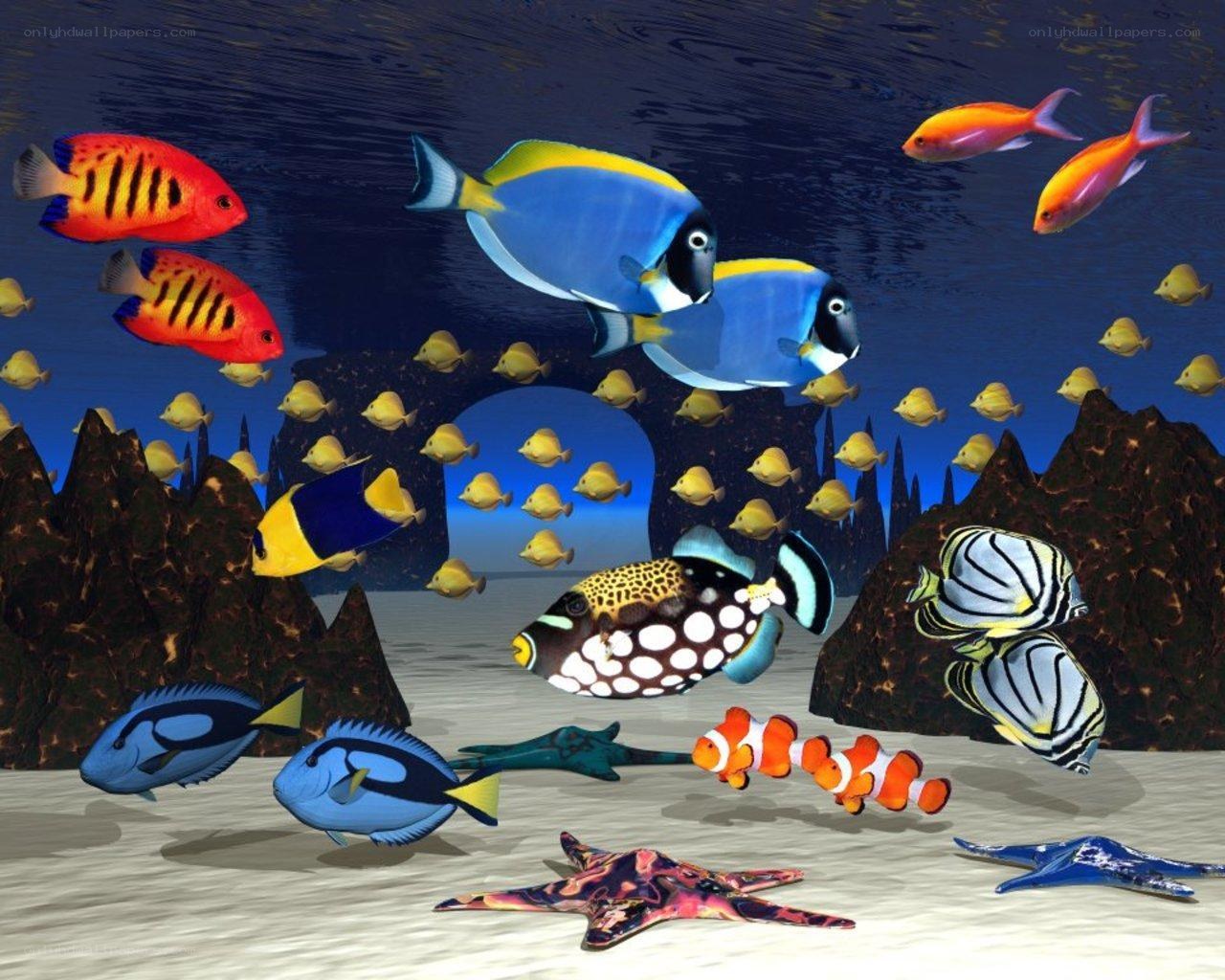 Colorful underwater fish scene