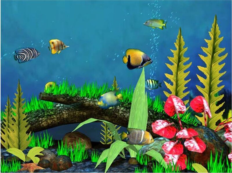 colorful underwater fish scene