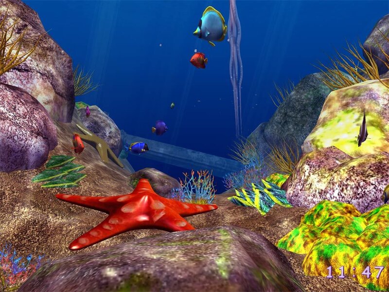 colorful underwater scene