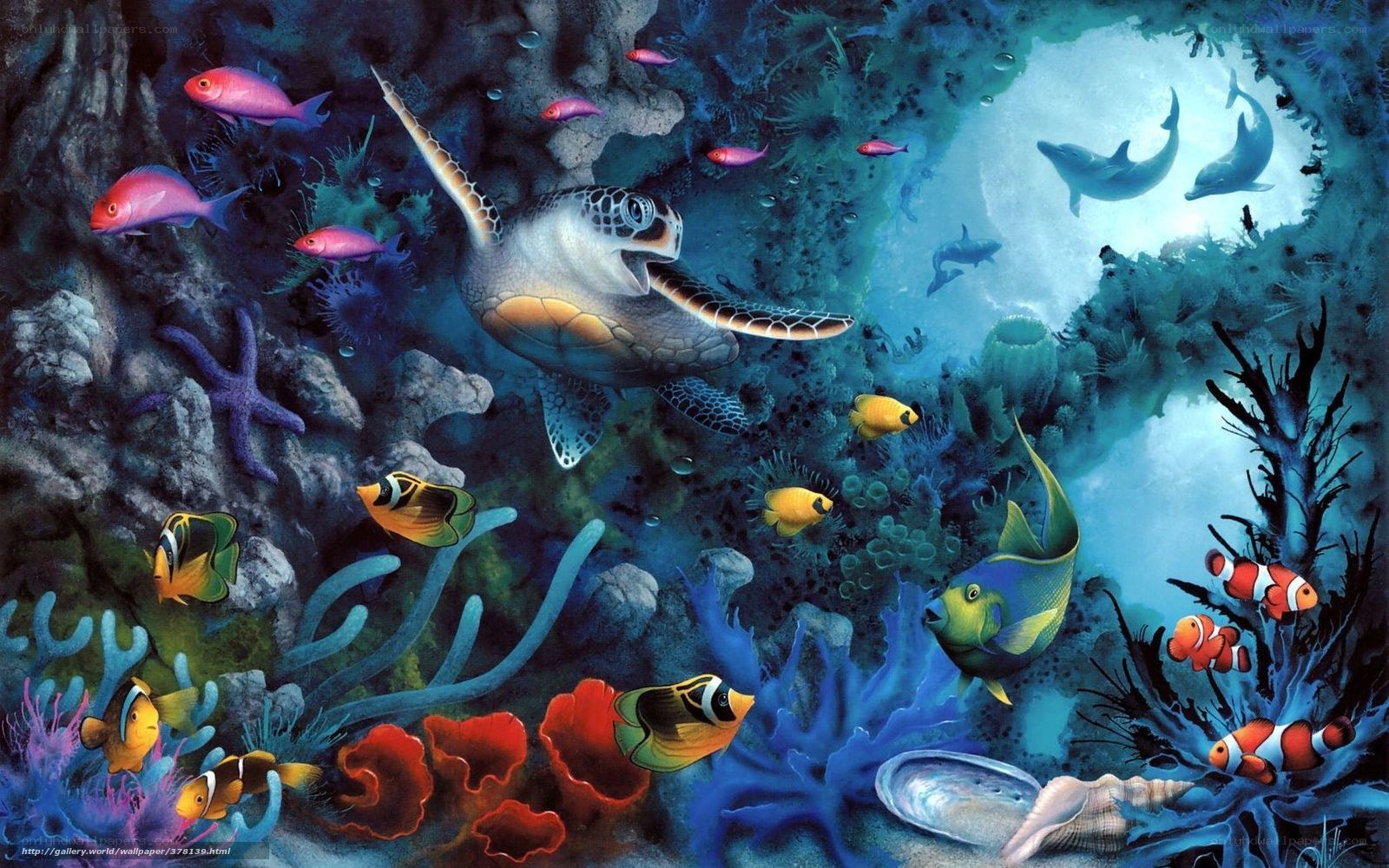 Colorful underwater sea life