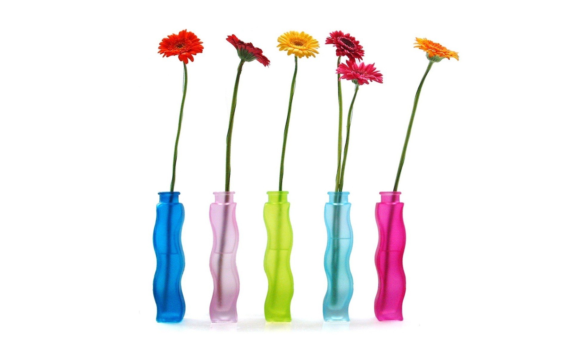 Colorful vases with flowers