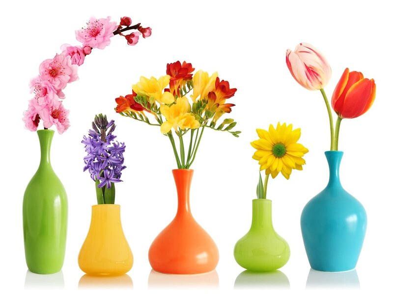 Colorful Vases with Flowers — Green, Bright, Spring