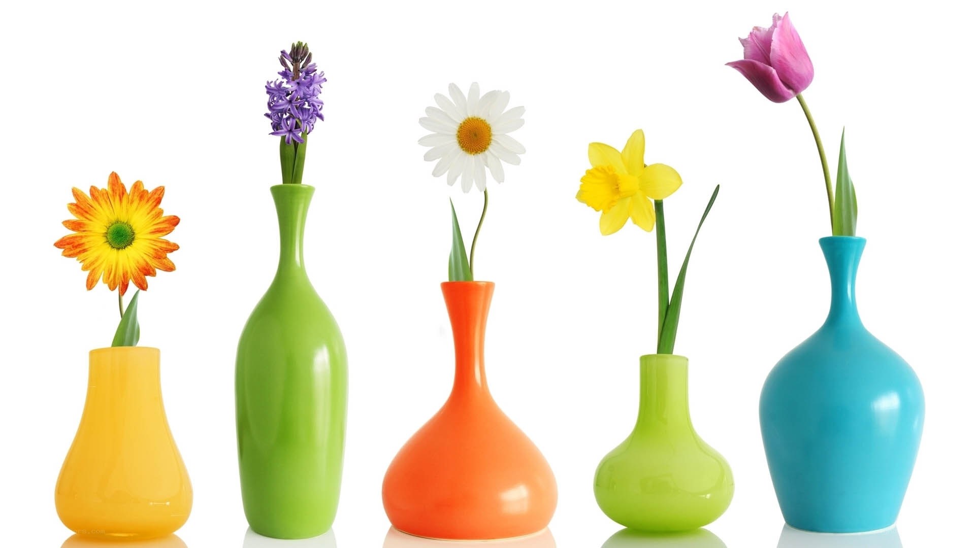 Colorful vases with flowers