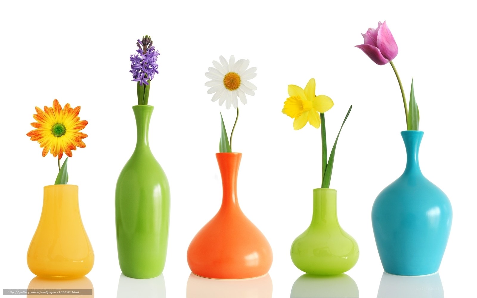 Colorful vases with spring flowers