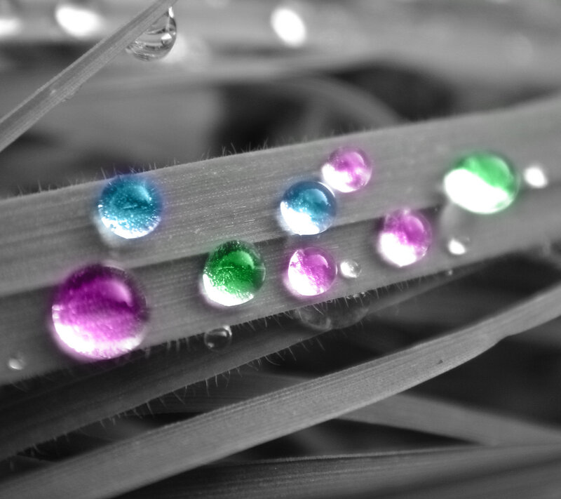 Colorful Water Droplets on Grass