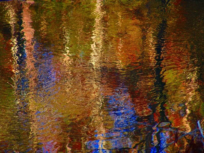 Colorful Water Reflections — Brown