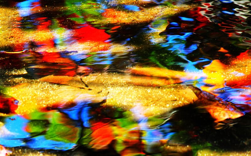 Colorful Water Reflections — Red