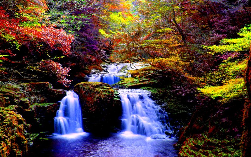 Colorful Waterfall in Forest