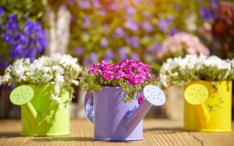Colorful Watering Cans
