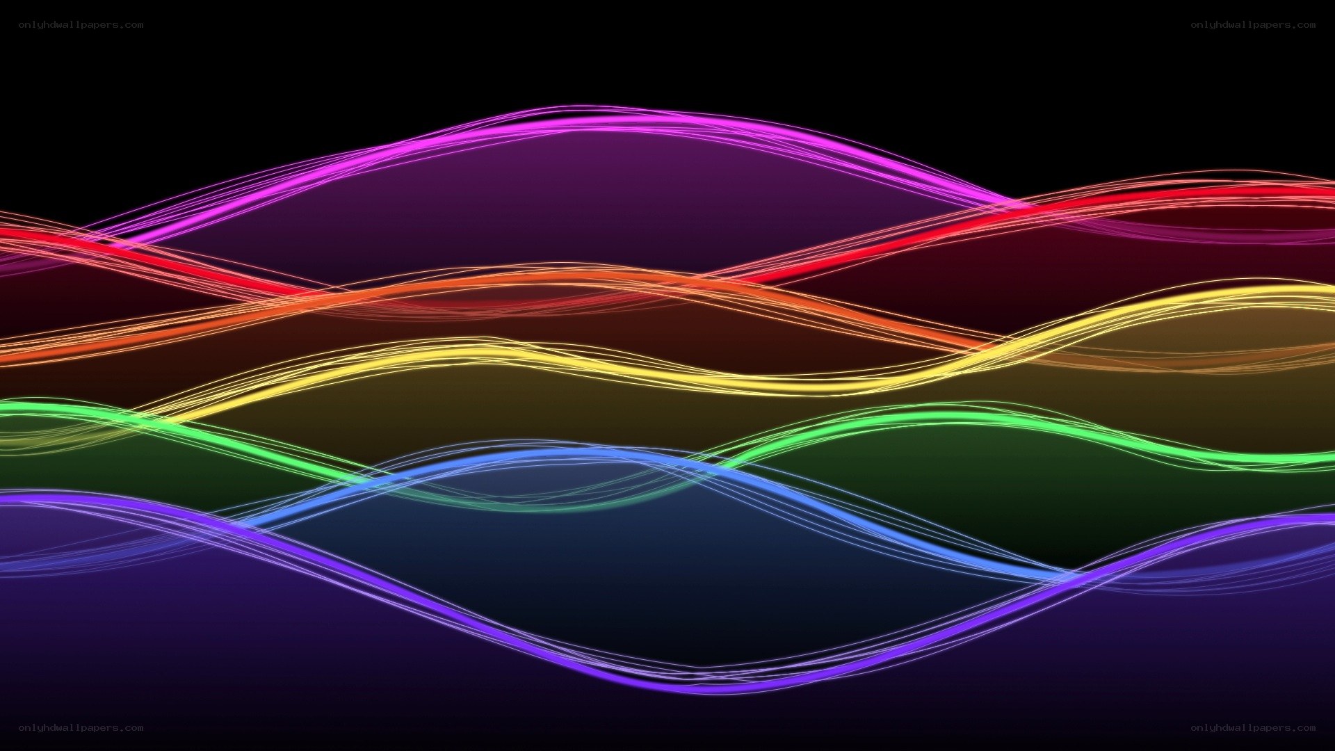 colorful wave lines