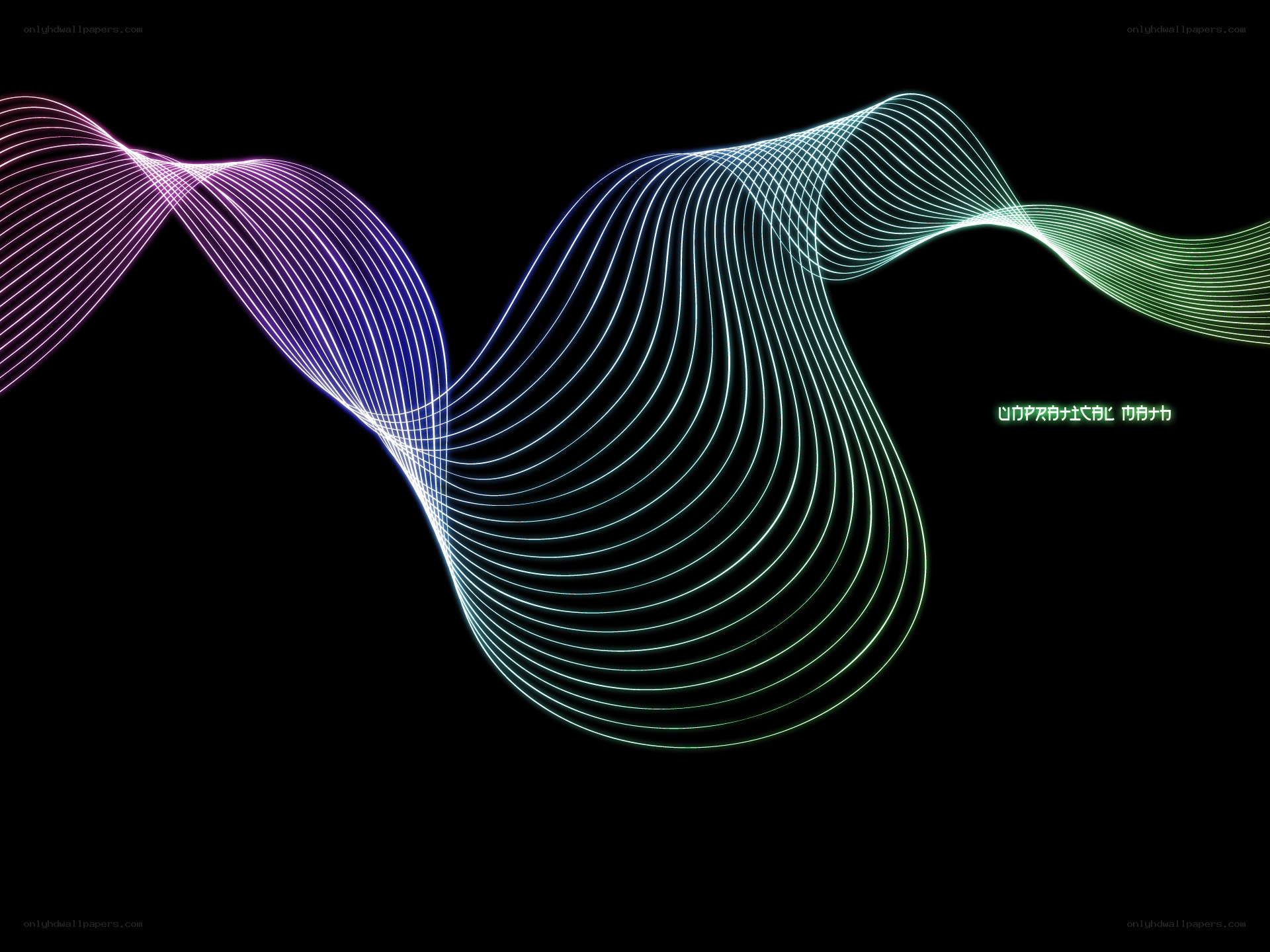 Colorful wave lines on black