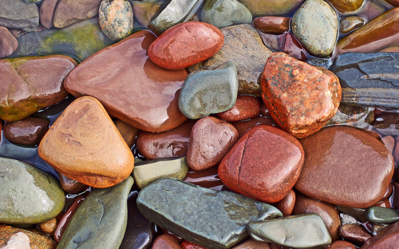 Colorful wet river stones