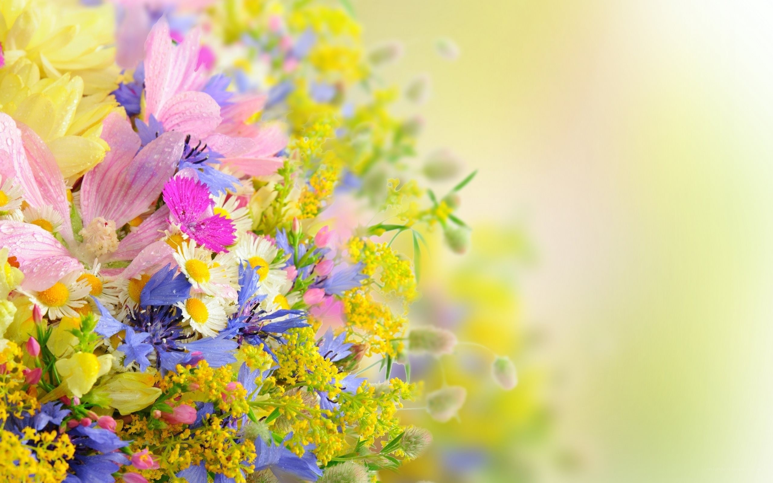 Colorful wildflower bouquet