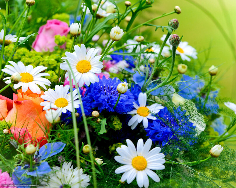 Colorful wildflower bouquet