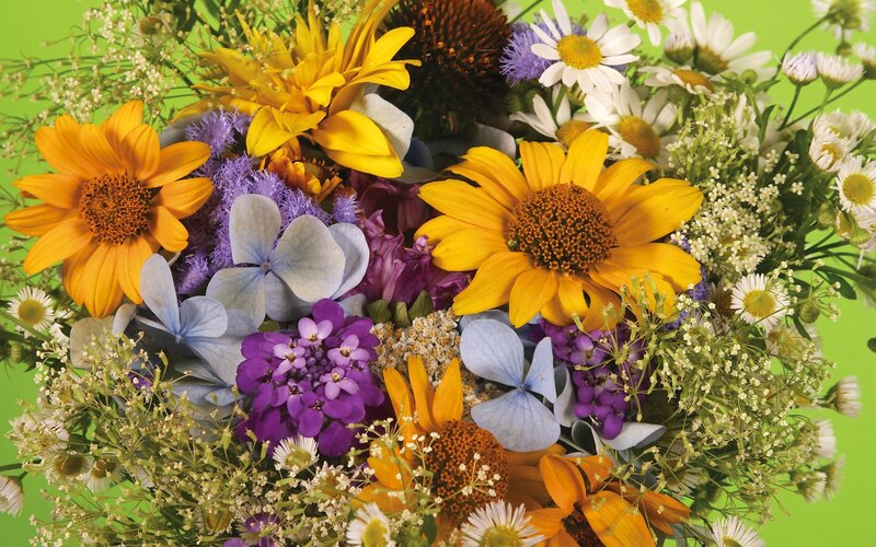 Colorful wildflower bouquet