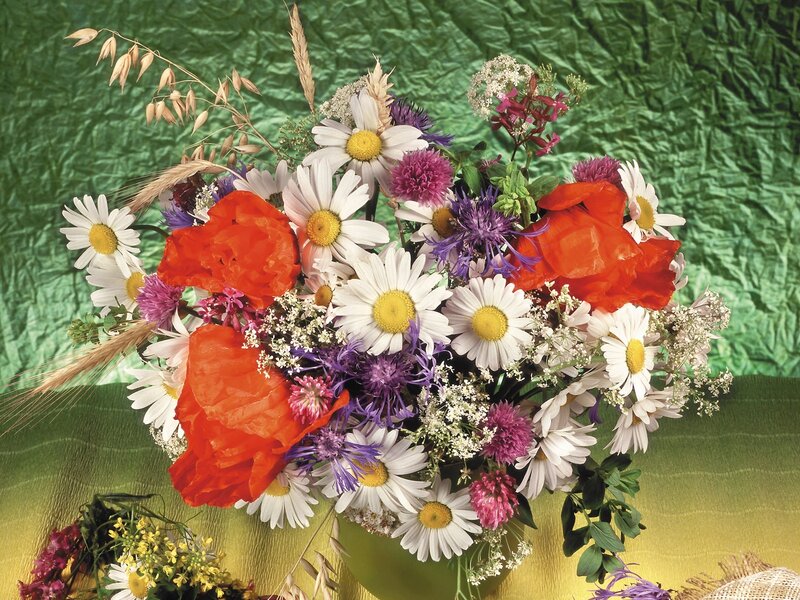 colorful wildflower bouquet