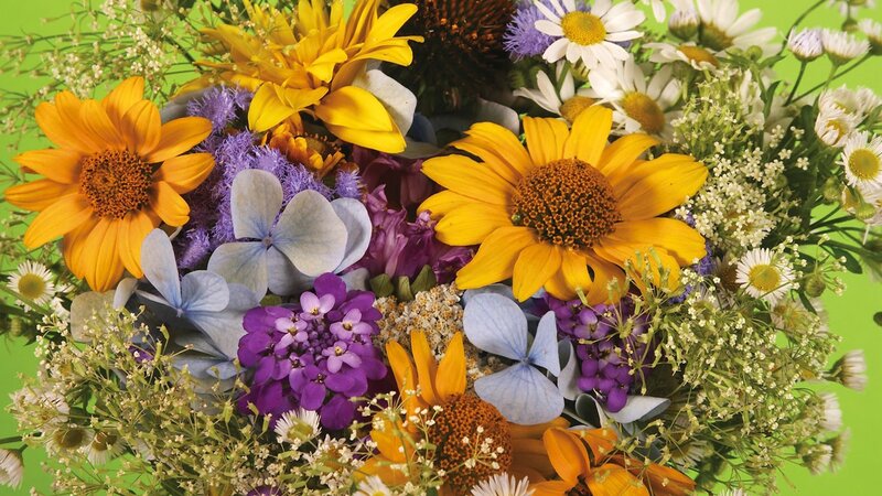 colorful wildflower bouquet