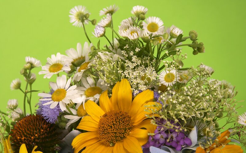 Colorful wildflower bouquet