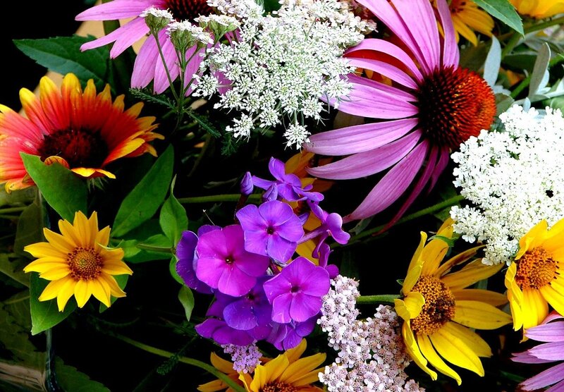 Colorful wildflower bouquet