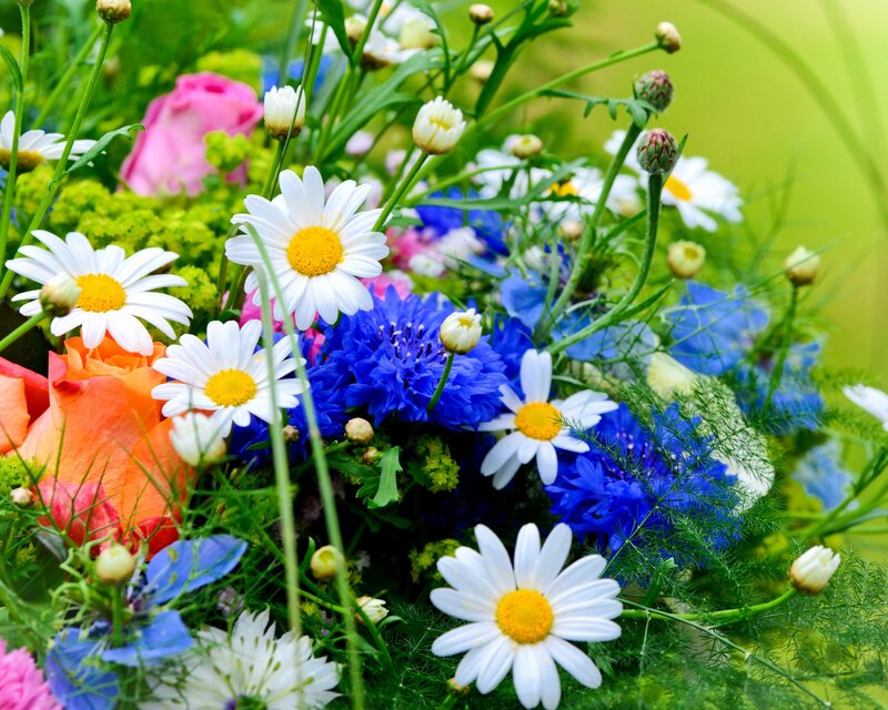 Colorful wildflower bouquet