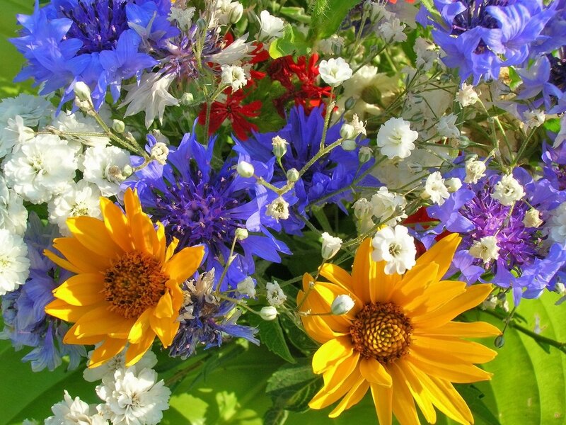 Colorful wildflower bouquet