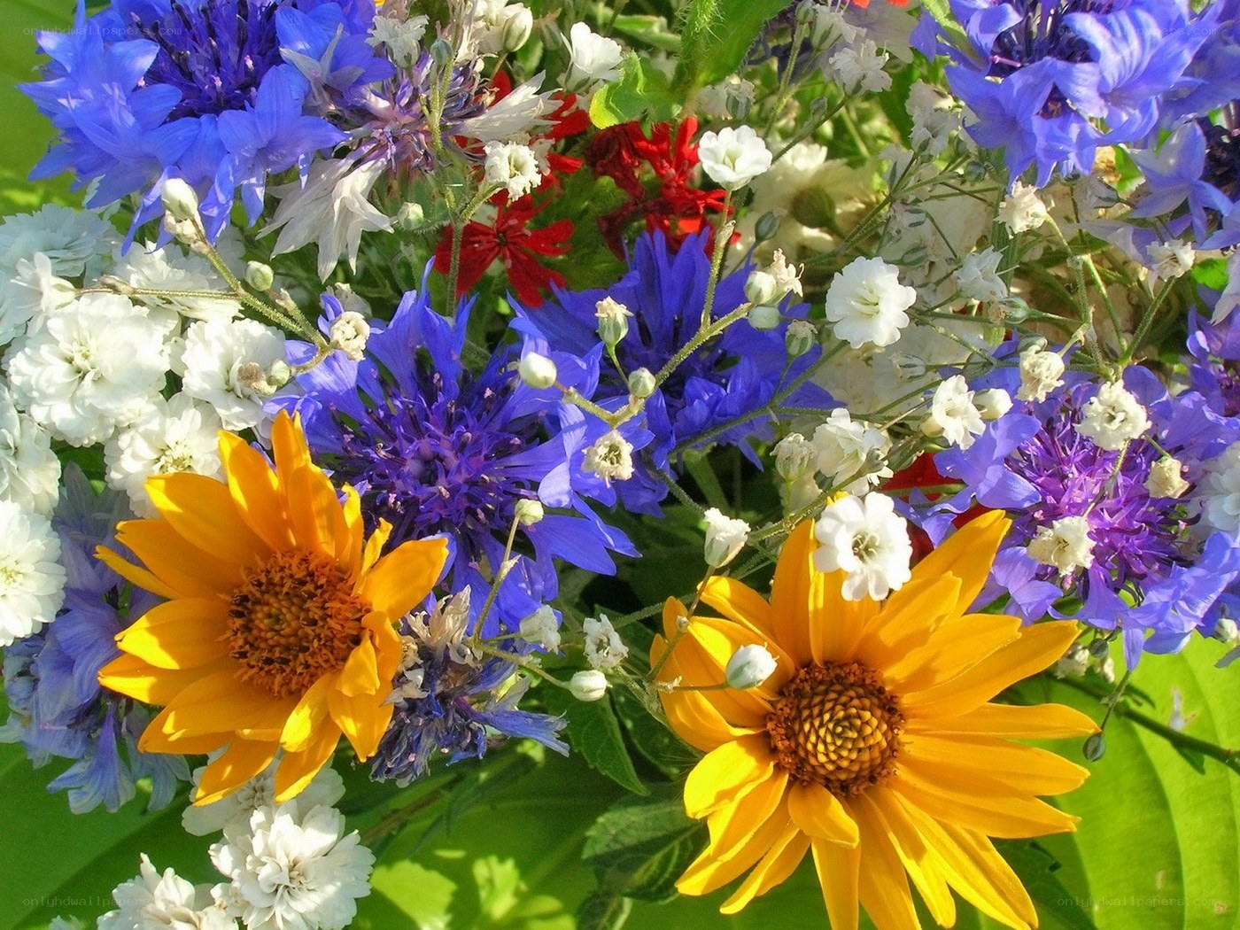 Colorful wildflower bouquet