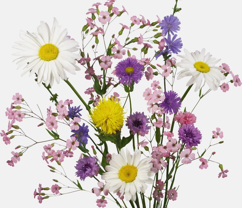 Colorful wildflower bouquet