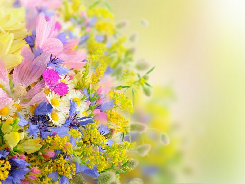 Colorful Wildflower Bouquet — Yellow, Bright, Spring