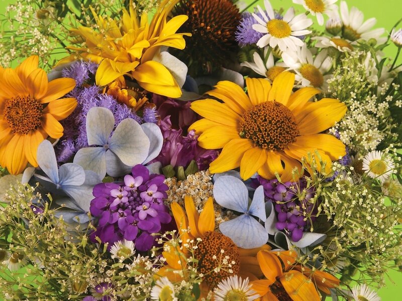Colorful Wildflower Bouquet — Yellow