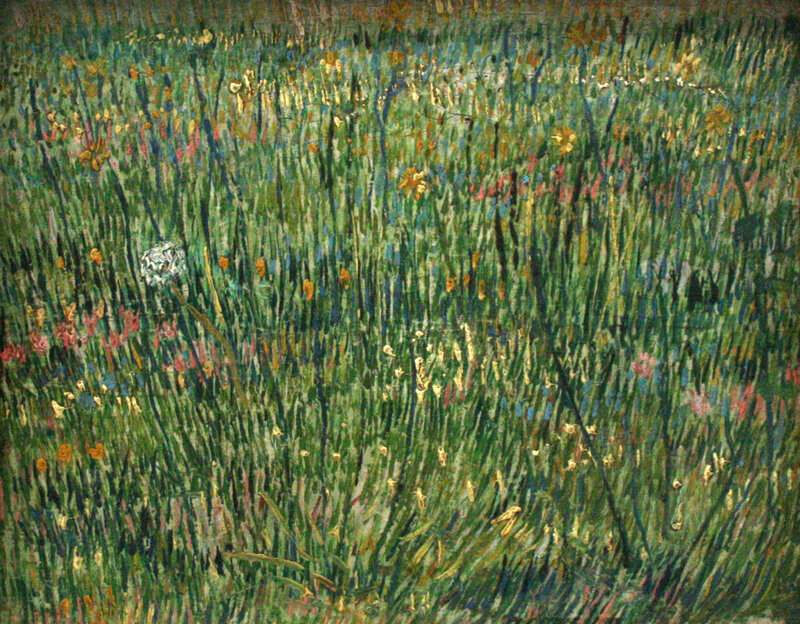 Colorful wildflower field