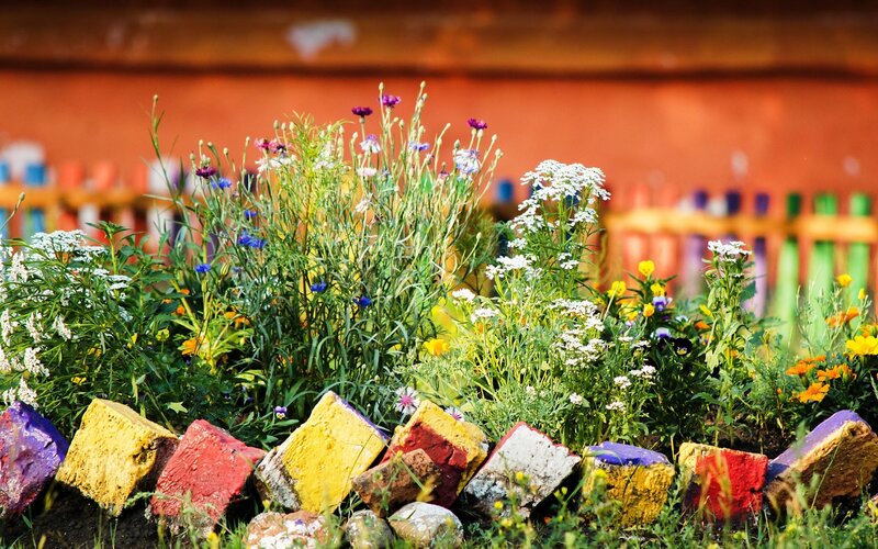 Colorful Wildflowers in Garden