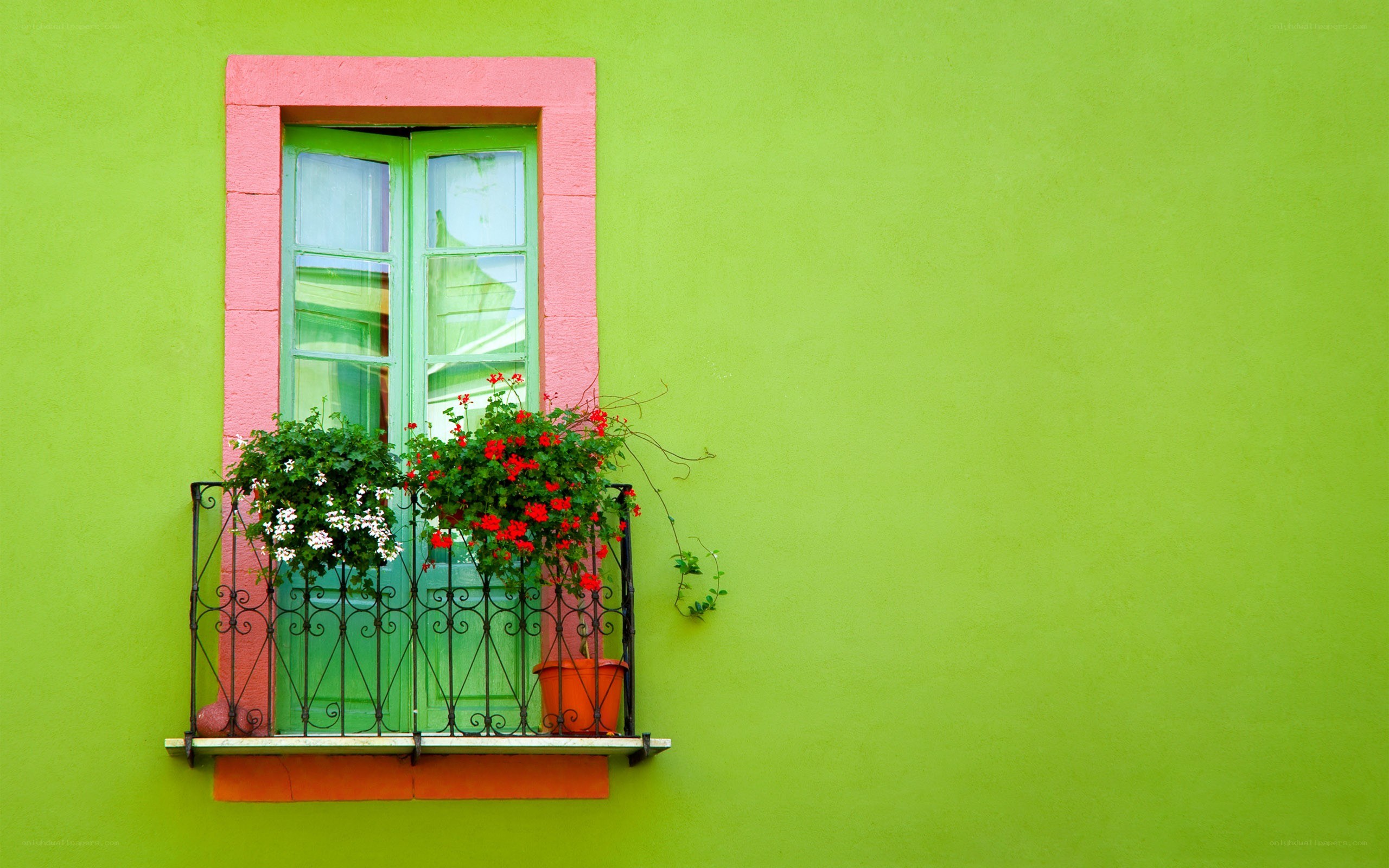 colorful window with flowers