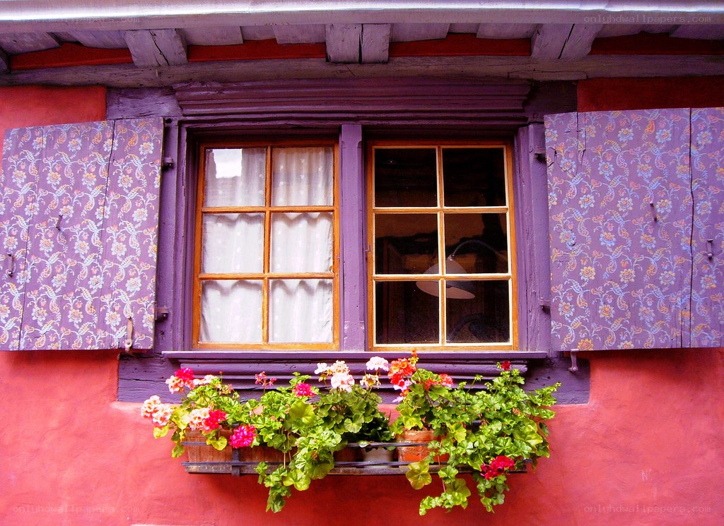 colorful window with flowers