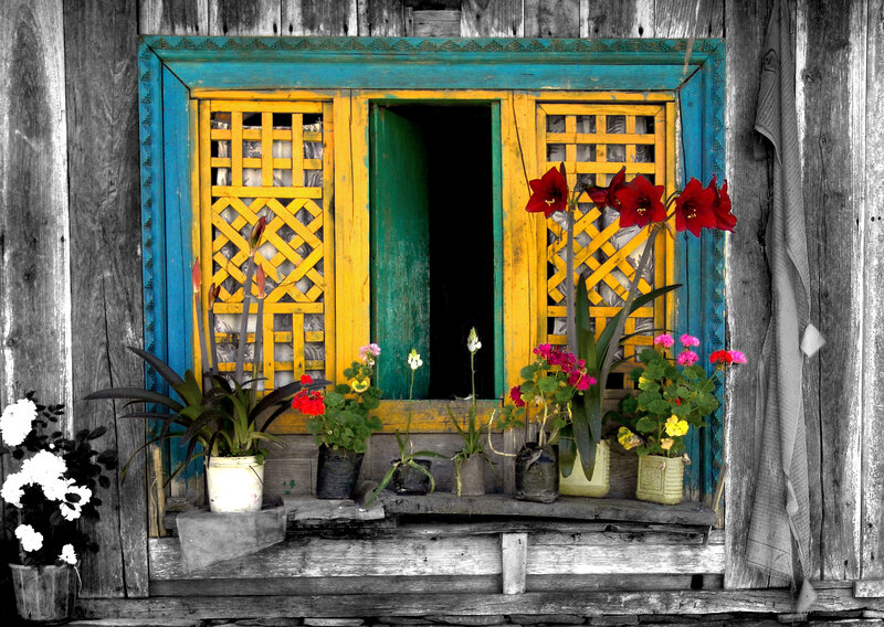 Colorful Window with Flowers — Blue