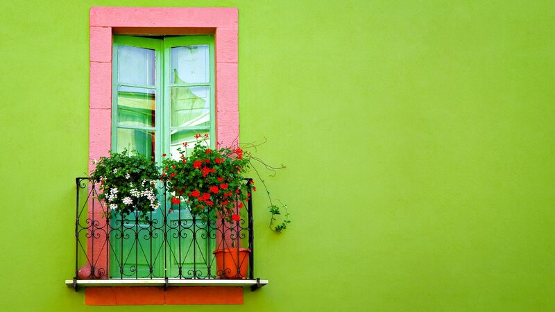 Colorful Window with Flowers — Green, Vibrant, Afternoon, Photograph