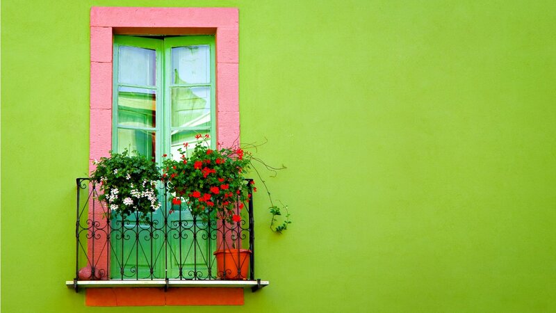 Colorful Window with Flowers — Green, Vibrant, Afternoon