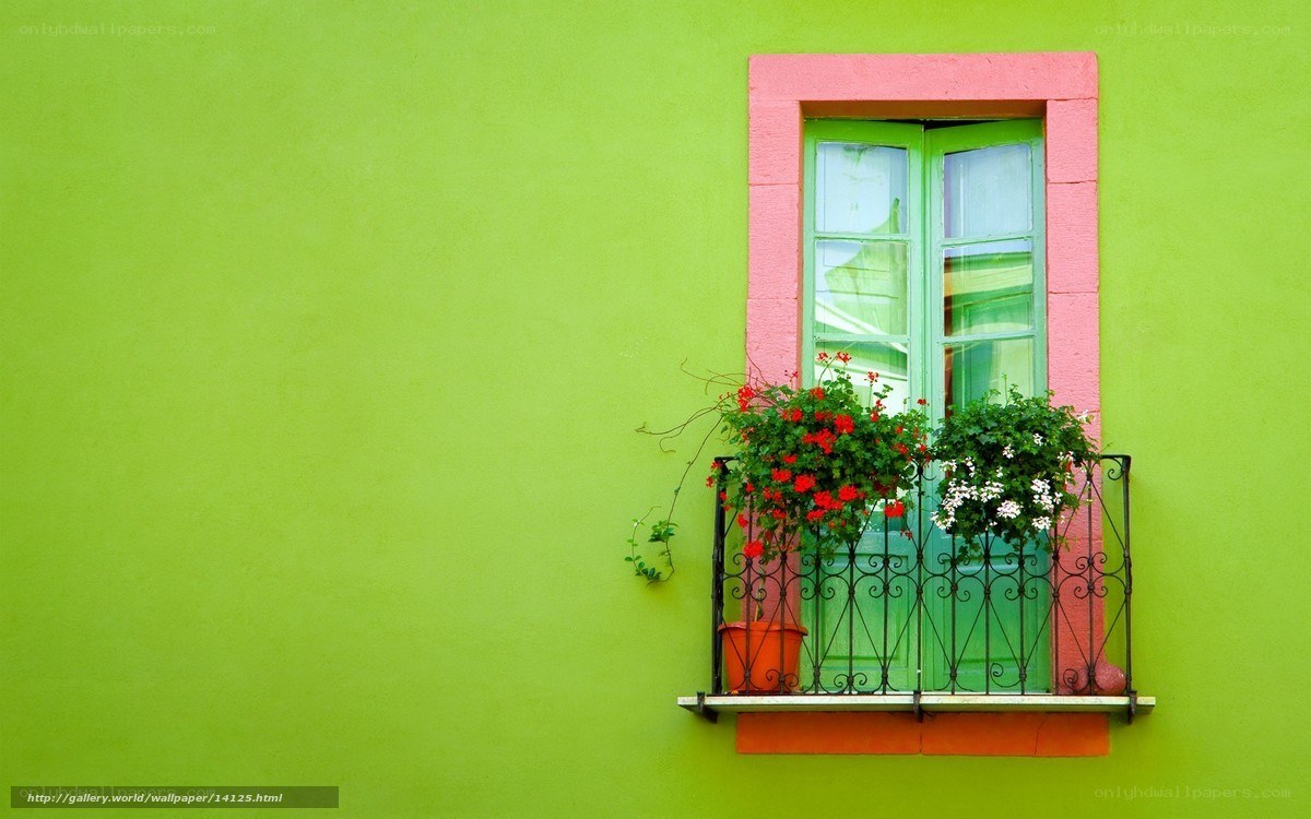 colorful window with flowers