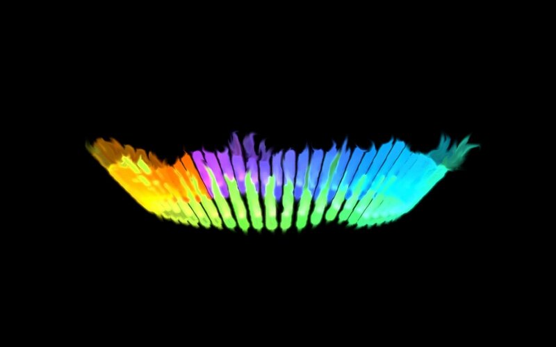 Colorful Wing Shape