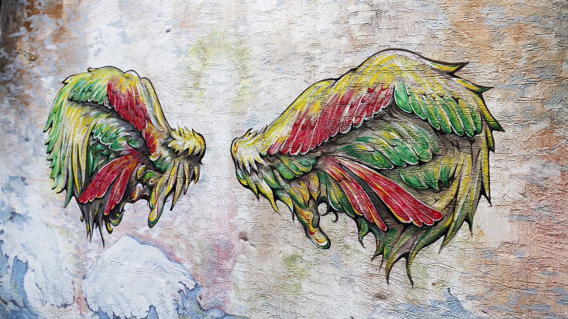 colorful wings on textured wall